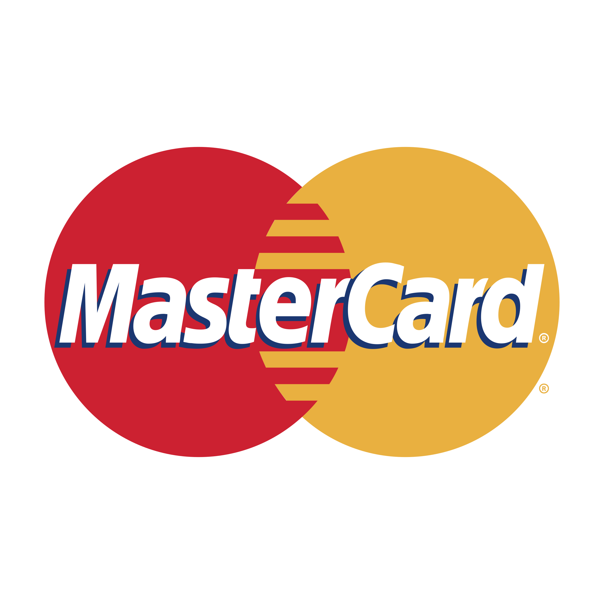 Master card logo